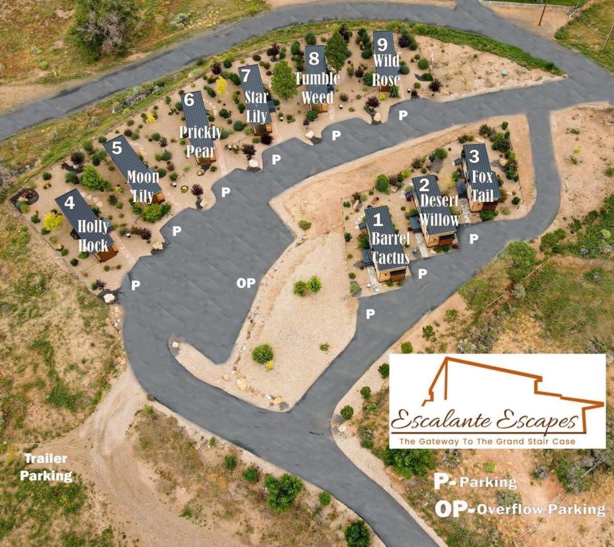 Escalante Escapes Desert Willow- Loft Escape Zewnętrze zdjęcie